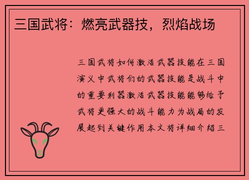 三国武将：燃亮武器技，烈焰战场